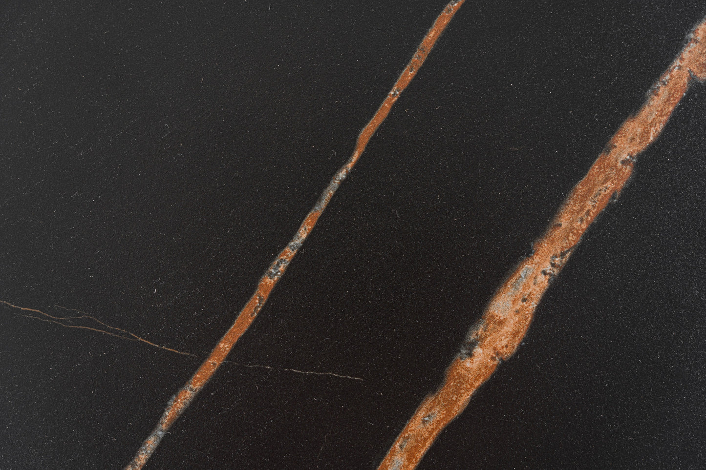Modrest Ricko - Modern Black Ceramic + Smoked Ash Freeform Coffee Table