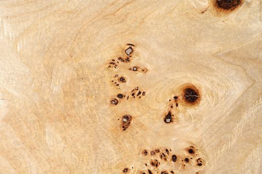 Modrest July - Modern Mapa Burl Round Coffee Table