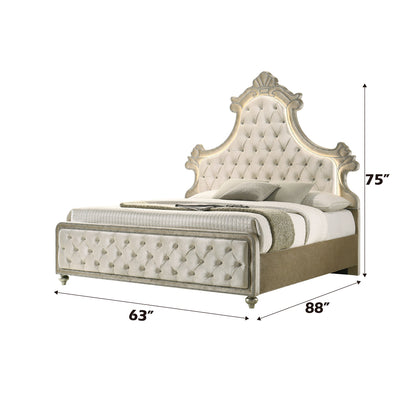 Lucienne Queen Bed W/LED