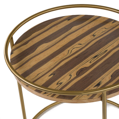 Modrest Gilcrest - Glam Brown and Gold Marble End Table
