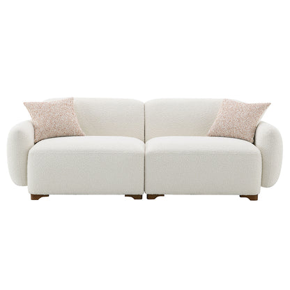 Darius Sofa w/2 Pillows
