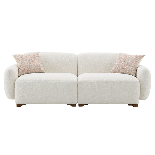 Darius Sofa w/2 Pillows