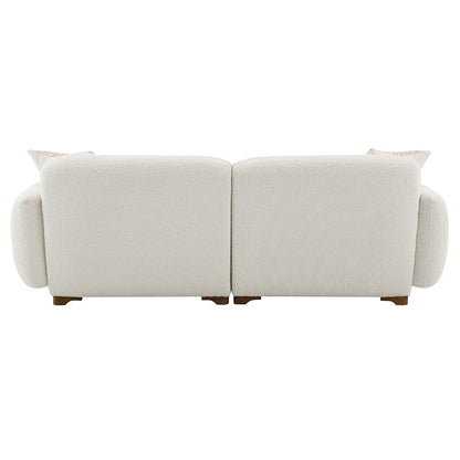 Darius Sofa w/2 Pillows